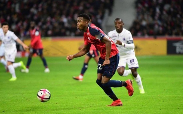 们为公众带 们为公众带